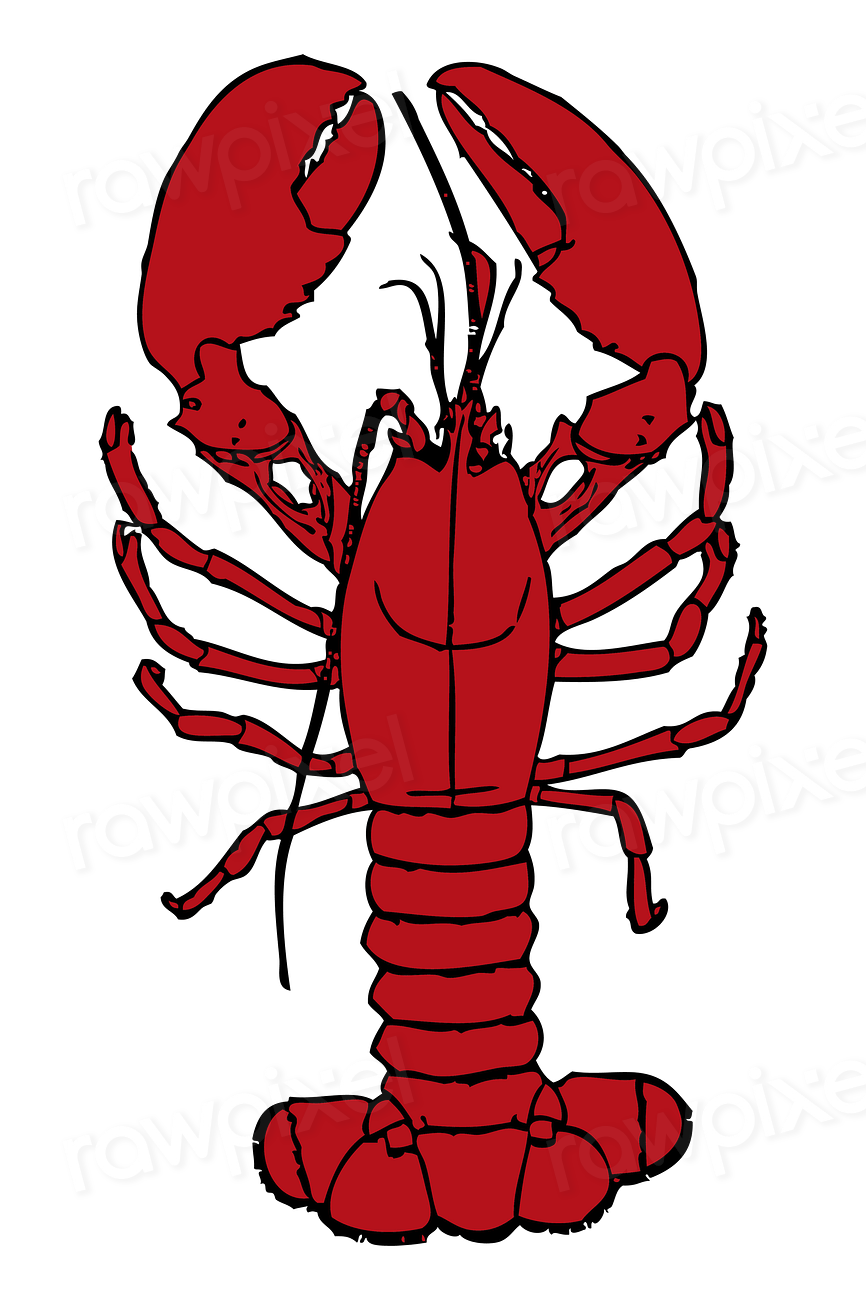 #137 | How lobsters grow